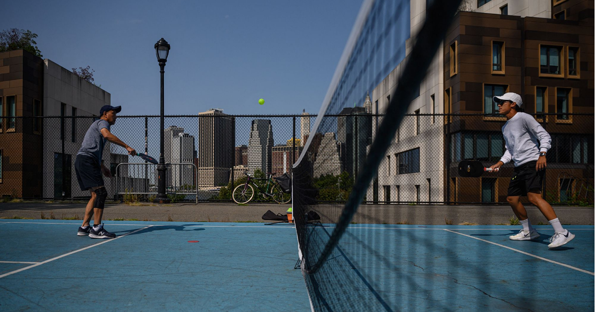 pickleball net